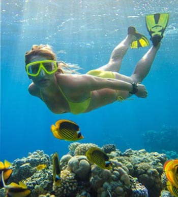 Maui Snorkel Trips