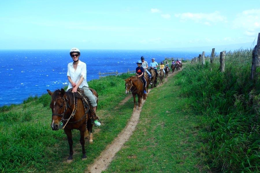 Maui Horseback  Ride