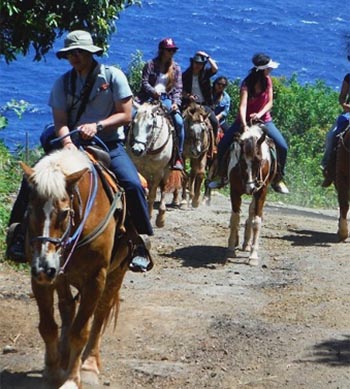 Maui Zipline Trip