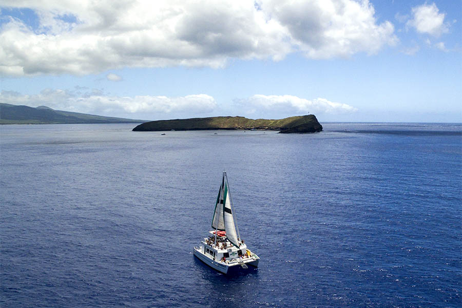 Maui Molokini Snorkel Trip